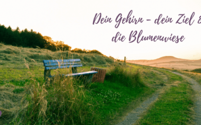 Dein Trampelpfad zum Ziel!